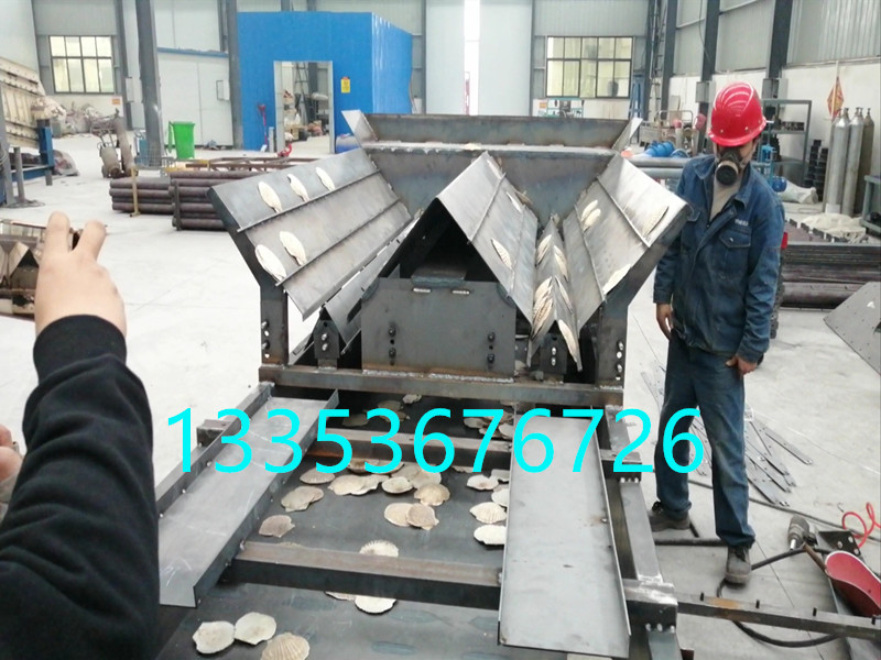 扇貝排序篩-扇貝排序直線篩廠家-可大小分級正反分類2 扇貝排序篩-扇貝排序直線篩廠家-可大小分級正反分類2